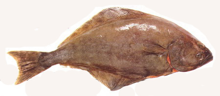 doli
