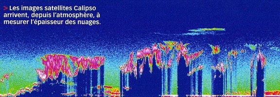 Toundra Arctique