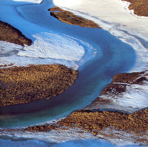 Toundra Arctique