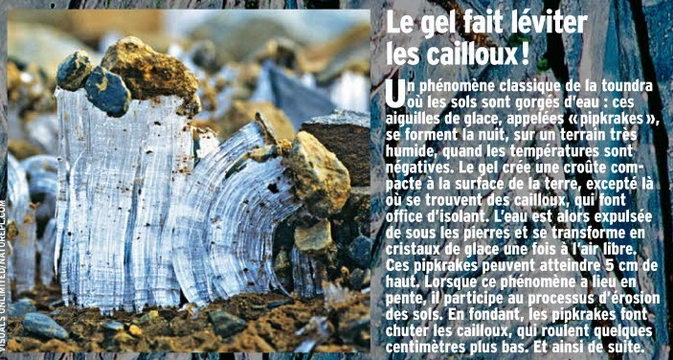 Toundra Arctique