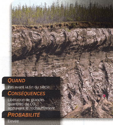 Toundra Arctique